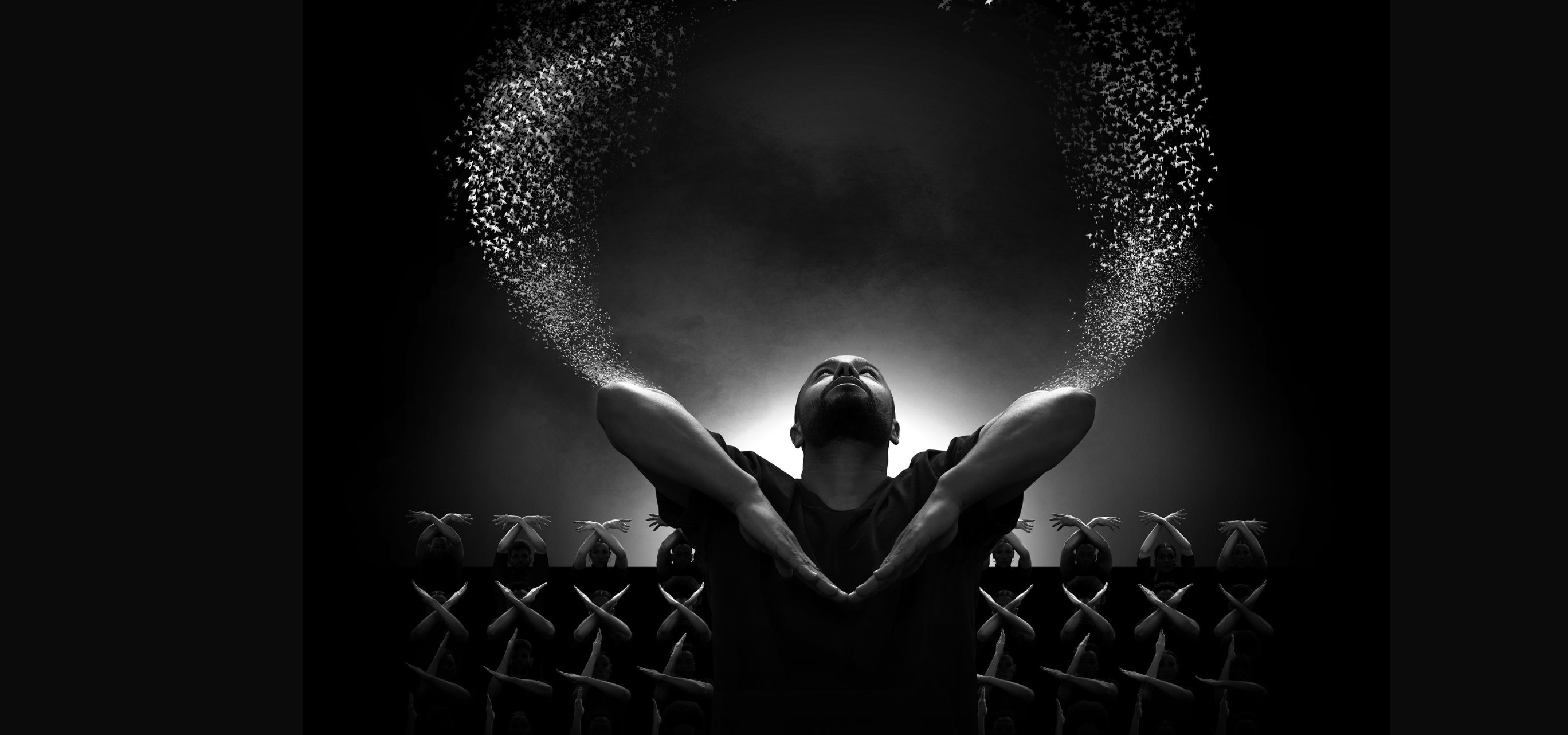 Murmurations Level 2 dernier spectacle au Colisee de Rouabix près de Lille.jpg