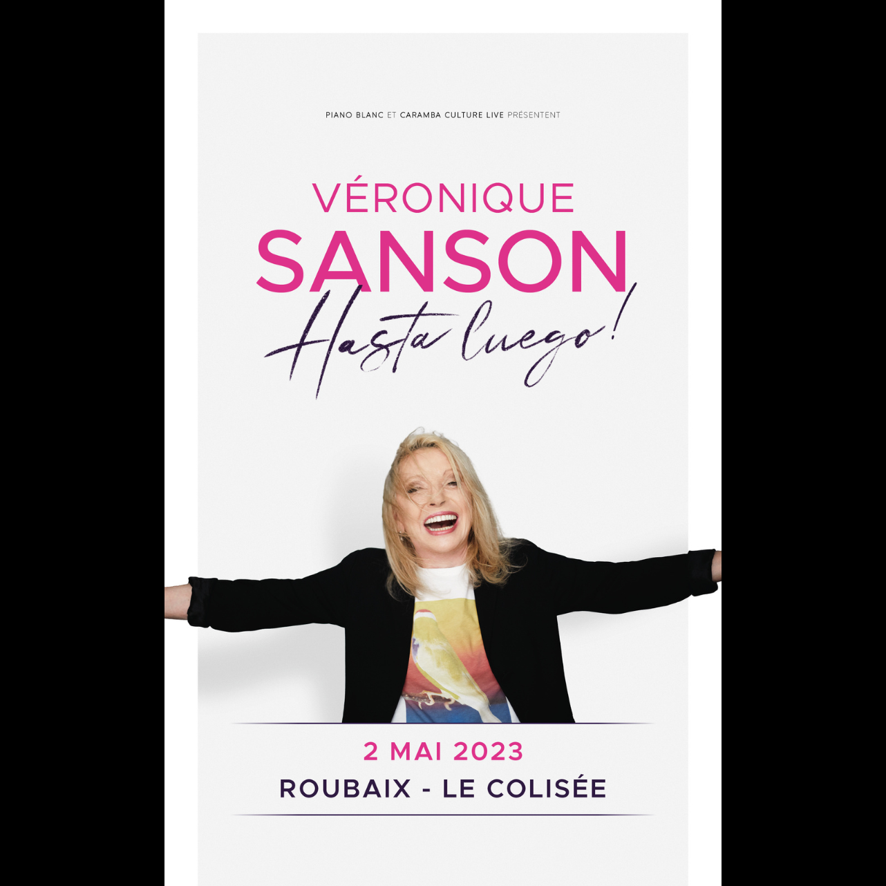 VERONIQUE SANSON GALERIE SITE.png
