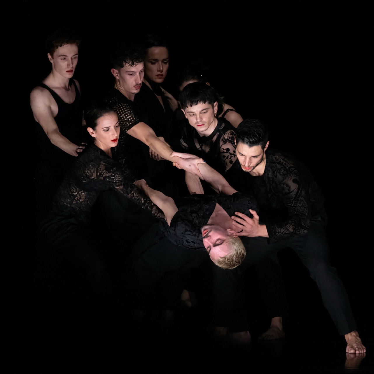 Magnifiques - Une éphémère éternité