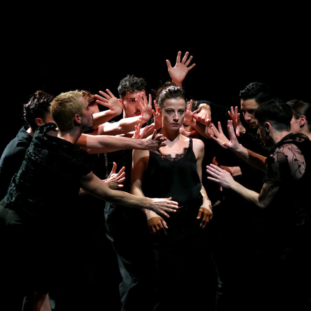 Magnifiques - Une éphémère éternité