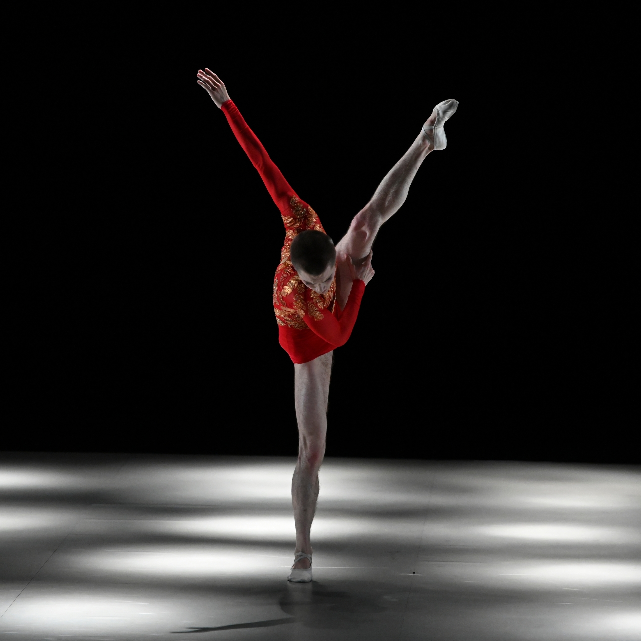 L’Oiseau de feu / Le Sacre du printemps