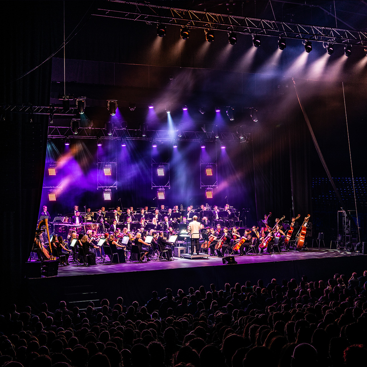 Zimmer & Williams au Colisée de Roubaix près de Lille.jpg