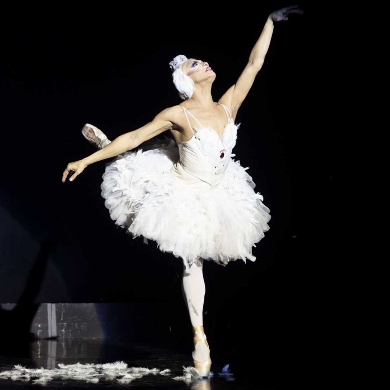 les ballets trockadero de monte carlo28.jpg