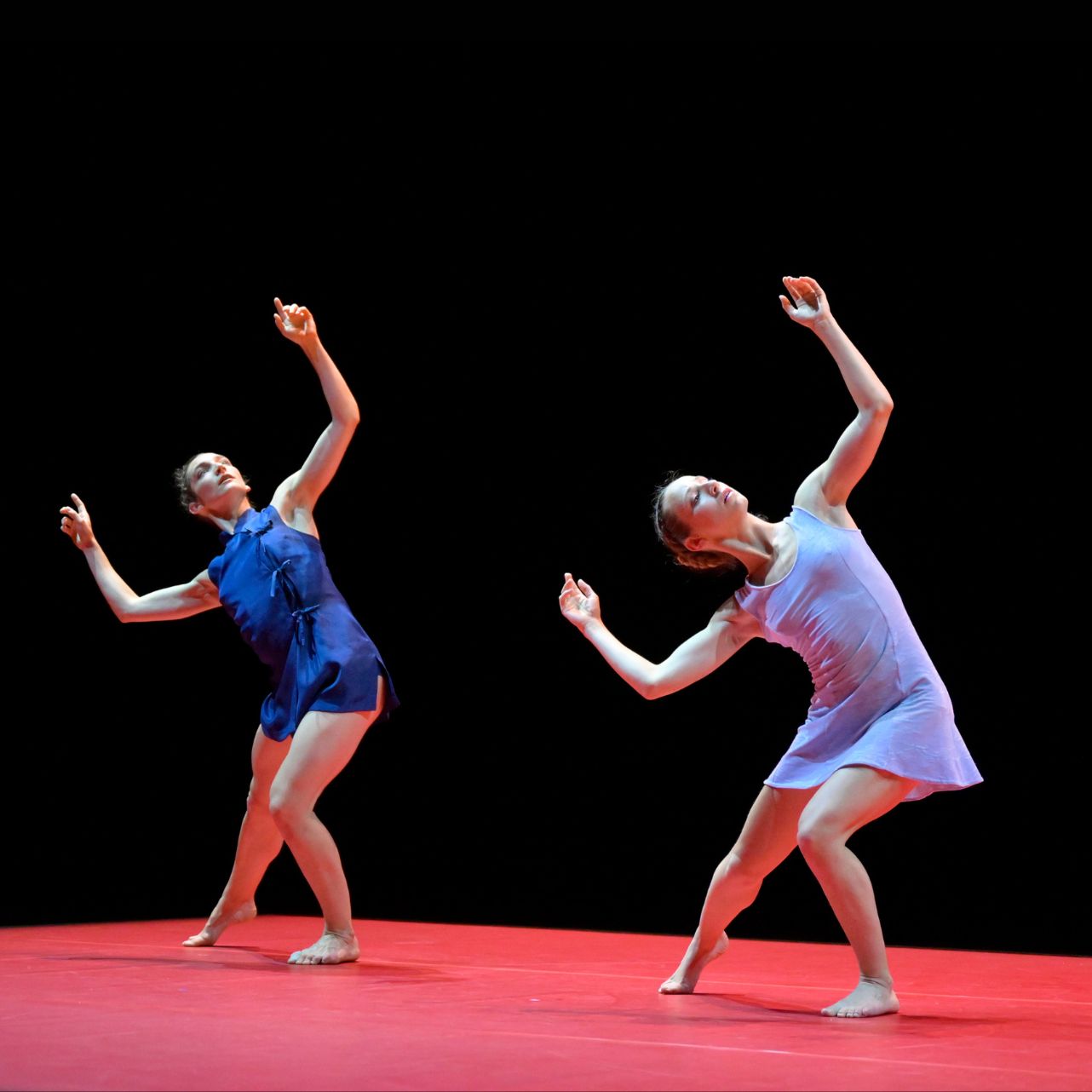 Colisée de Roubaix PRELJOCAJ @ MAXIME GUERVILLE (2).jpg