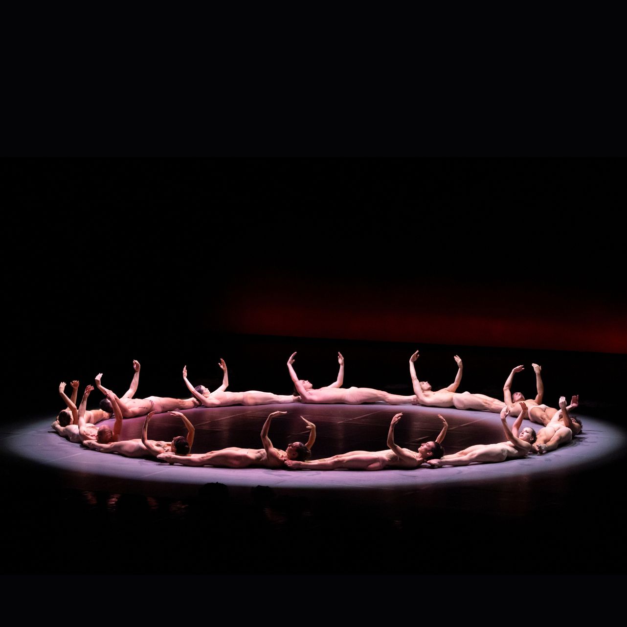 Colisée de Roubaix PRELJOCAJ @ Philippe (3).jpg