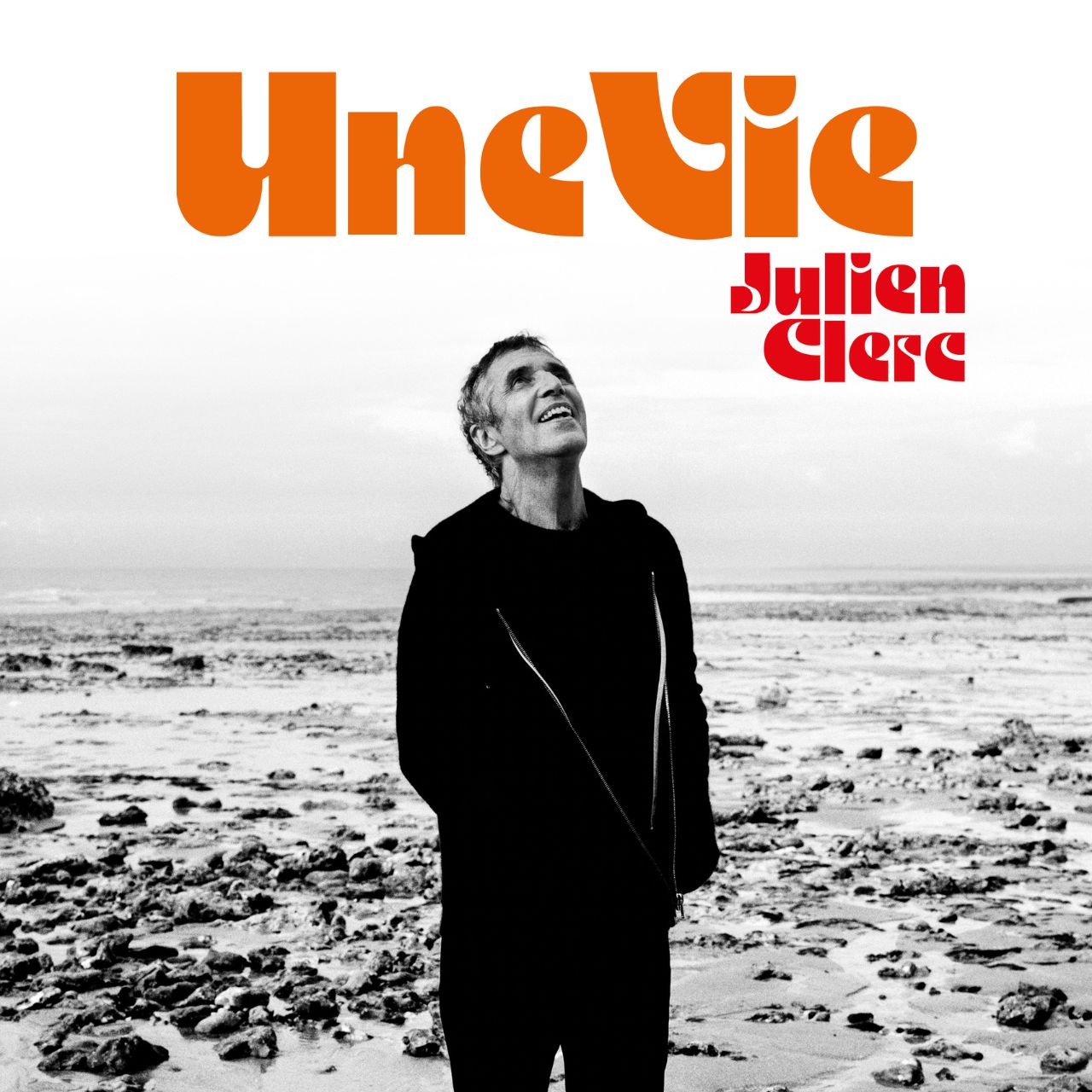 Julien Clerc au Colisee de Roubaix près de Lille.jpg