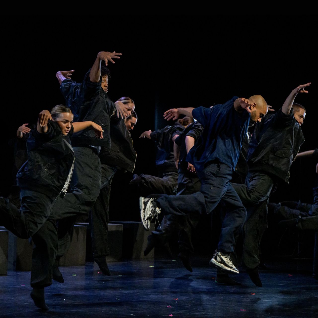 Murmuration Level 2 au Colisee de Roubaix près de Lille13.jpg