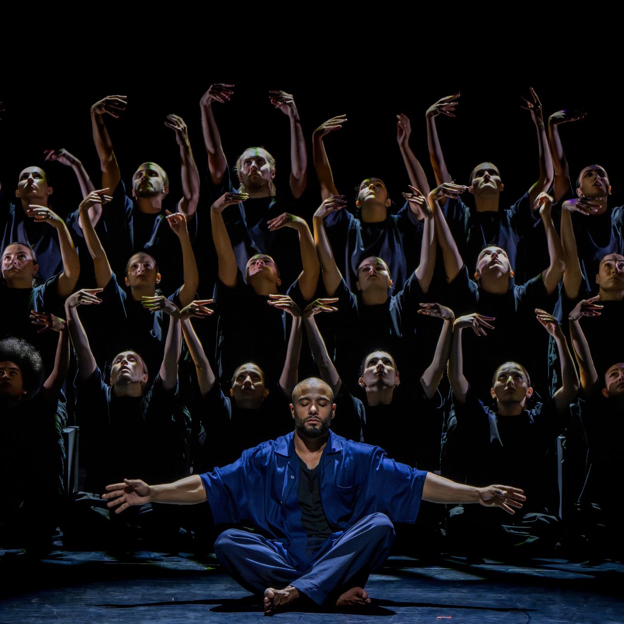 Murmuration Level 2 au Colisee de Roubaix près de Lille10.jpg