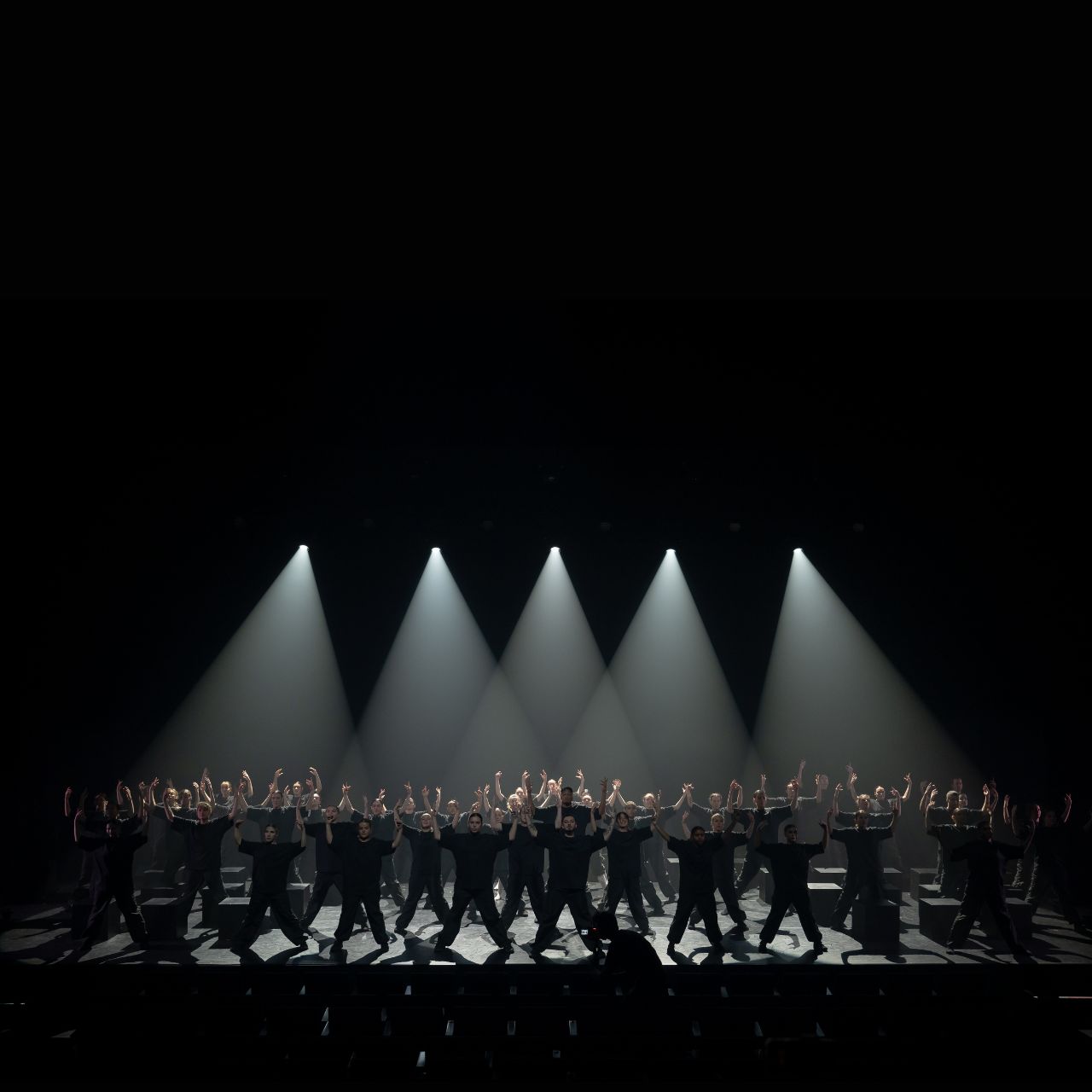Murmuration Level 2 au Colisee de Roubaix près de Lille.jpg