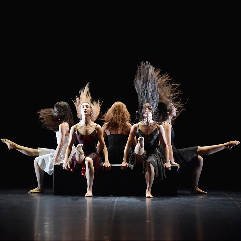 Cheveux filles © Jean-Claude Carbonne.JPG