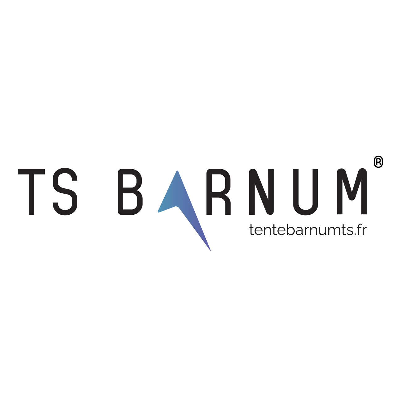 Partenaire du colisee - TS BARNUM